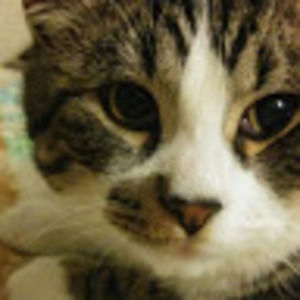 Meet your Posher, Nimrah